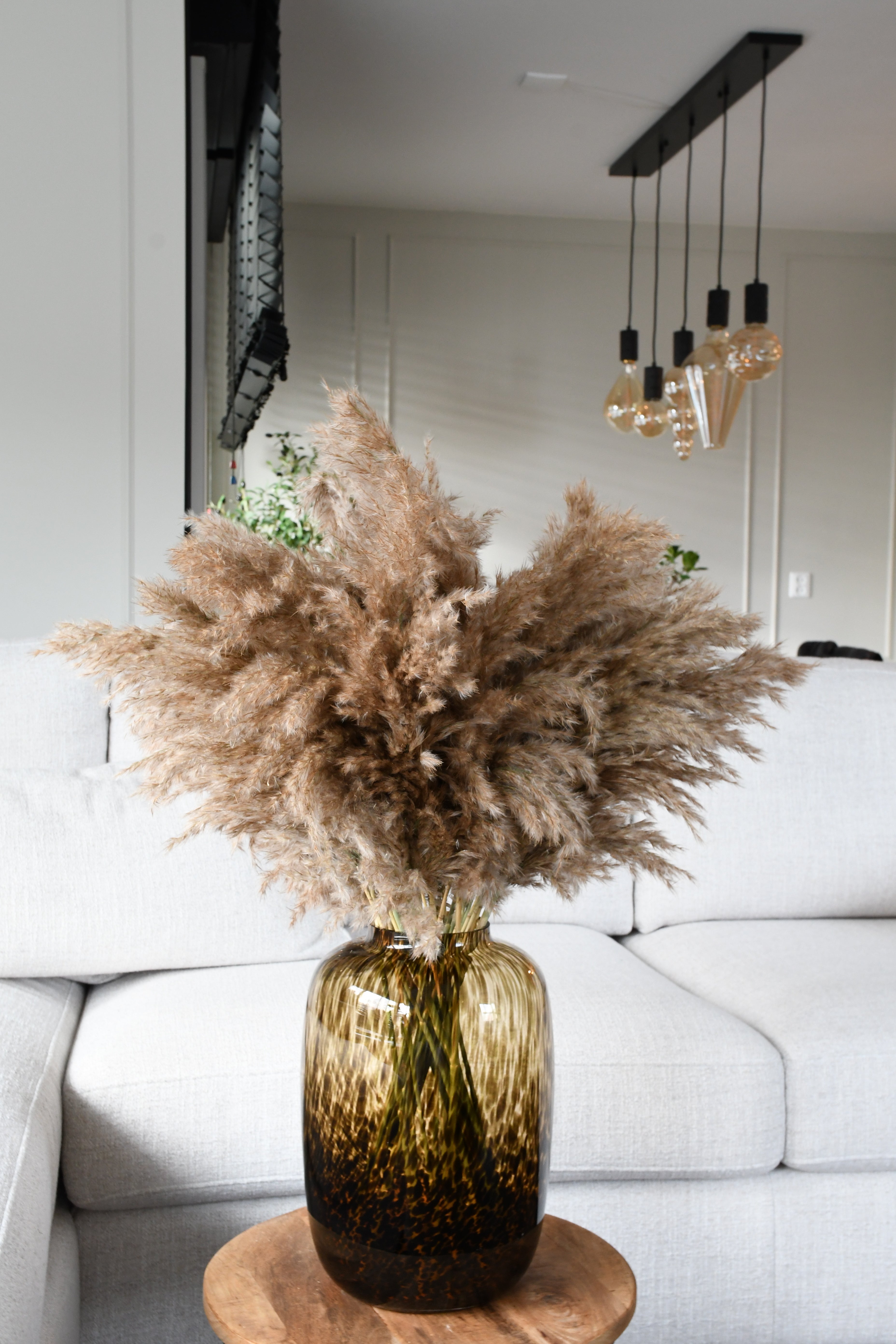 Fluffy pampas grass - 10 stems