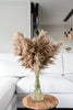 Fluffy pampas grass - 10 stems