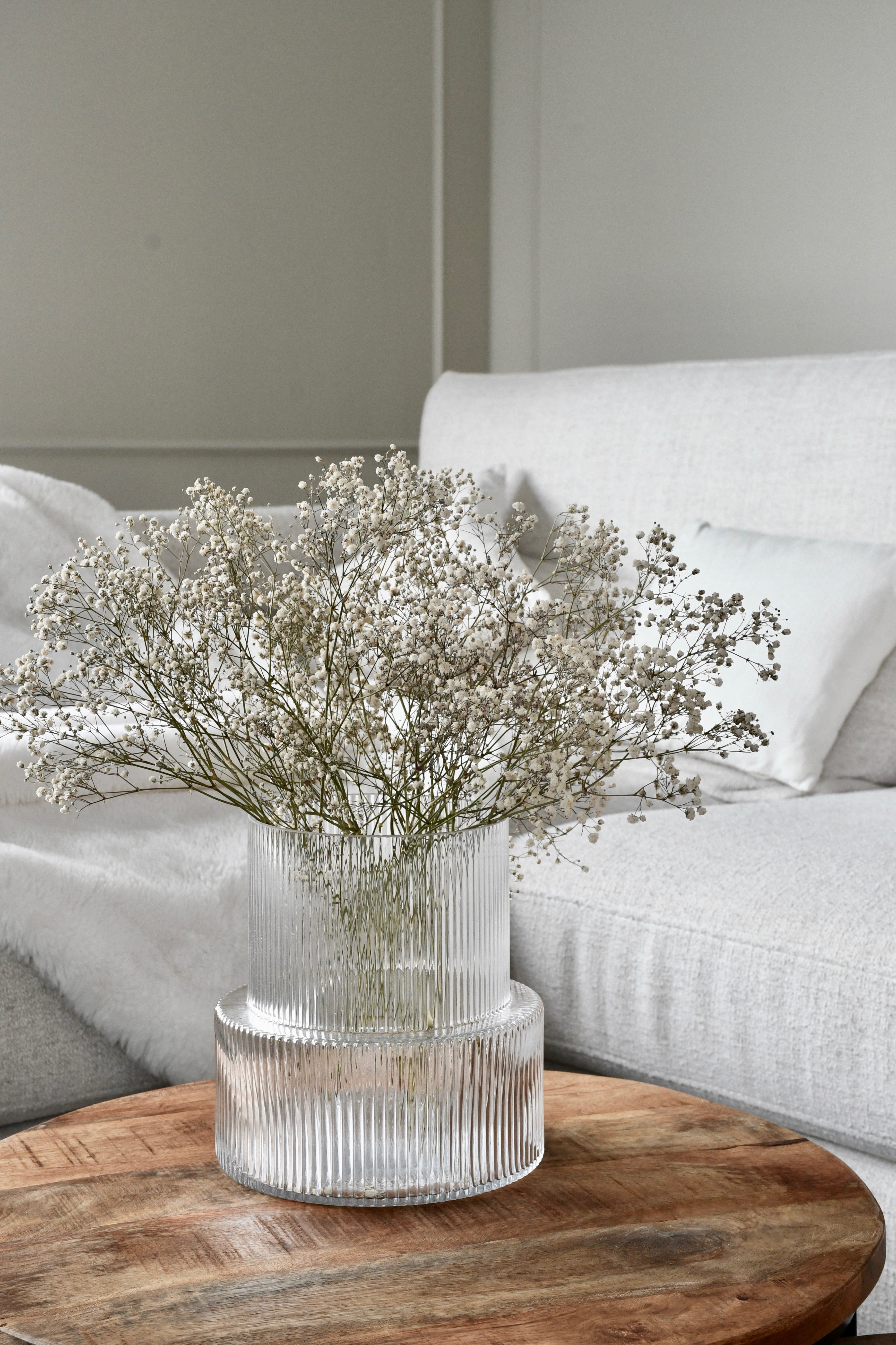 Dried baby's breath (gypsophila) flowers