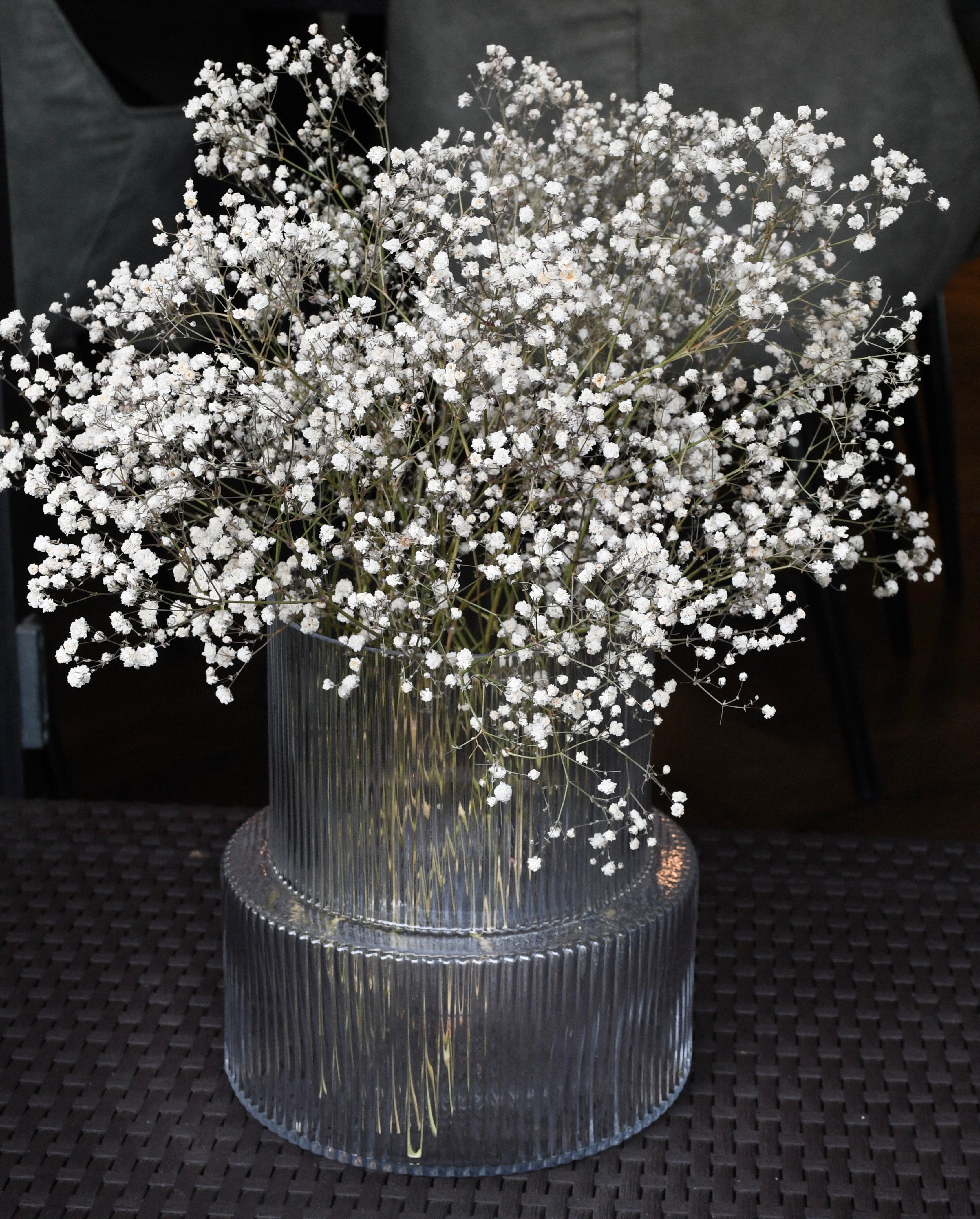 Dried baby's breath (gypsophila) flowers