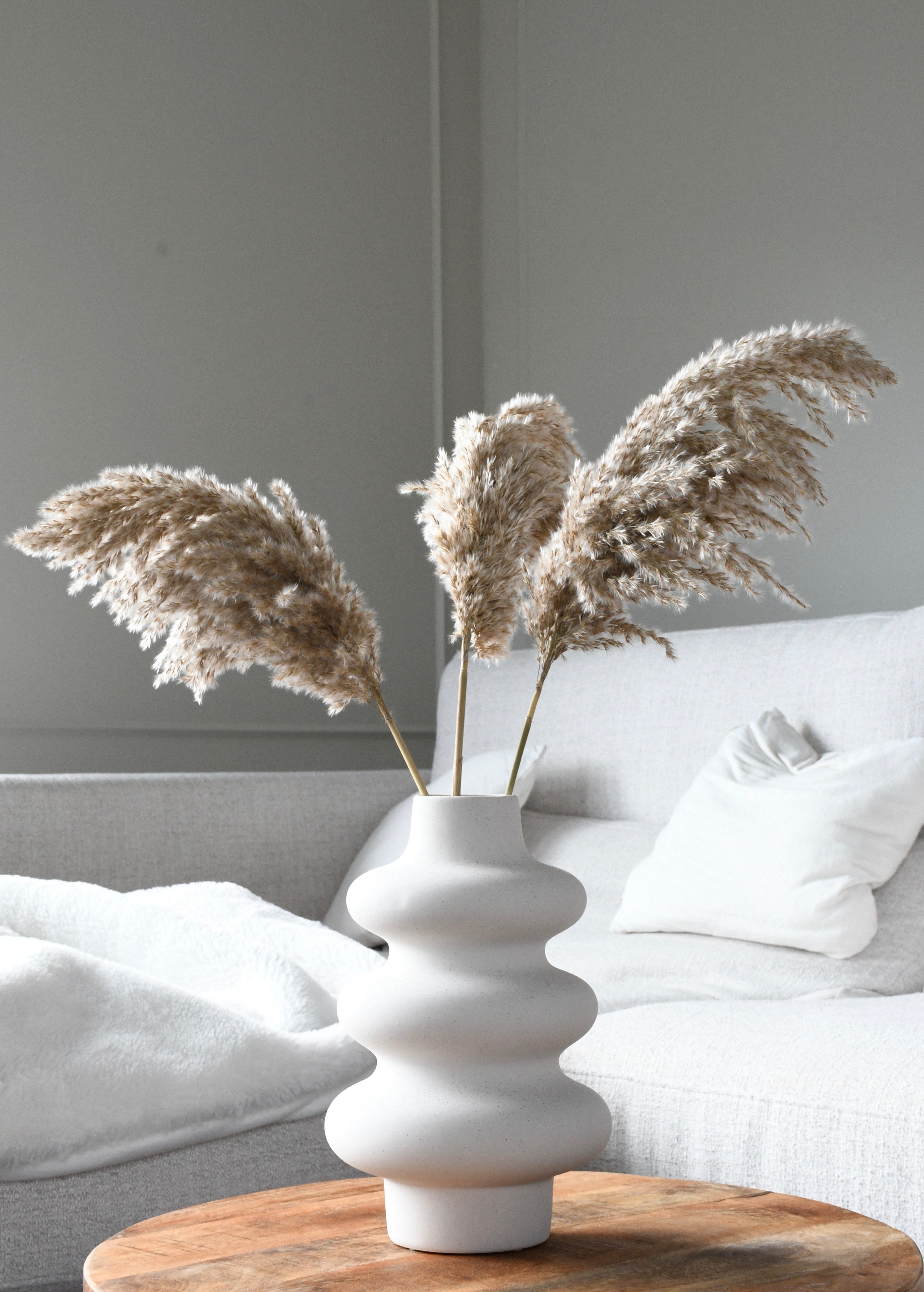 Fluffy pampas grass - 3 stems