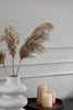 Fluffy pampas grass - 3 stems