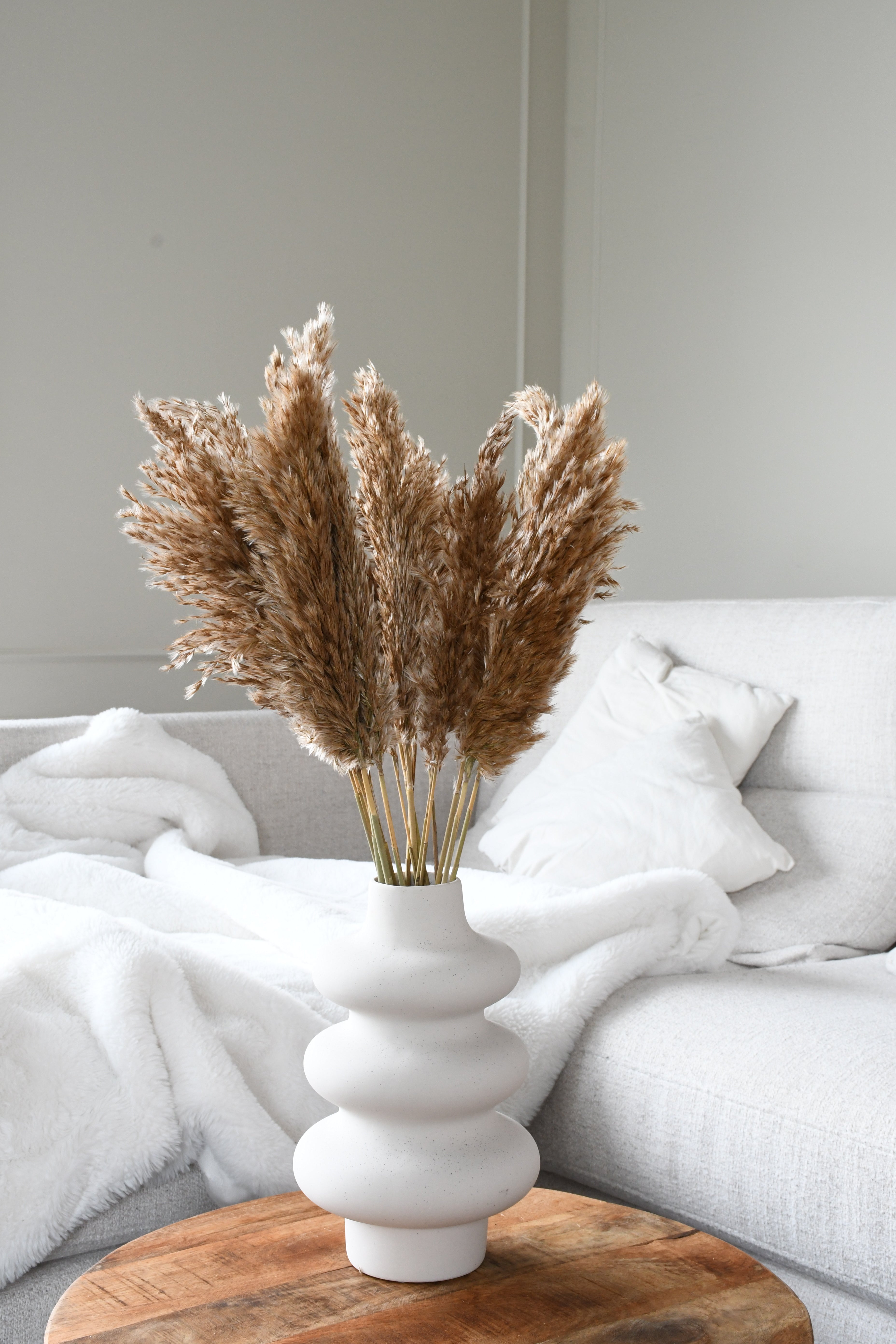 Pampas grass - 10 stems