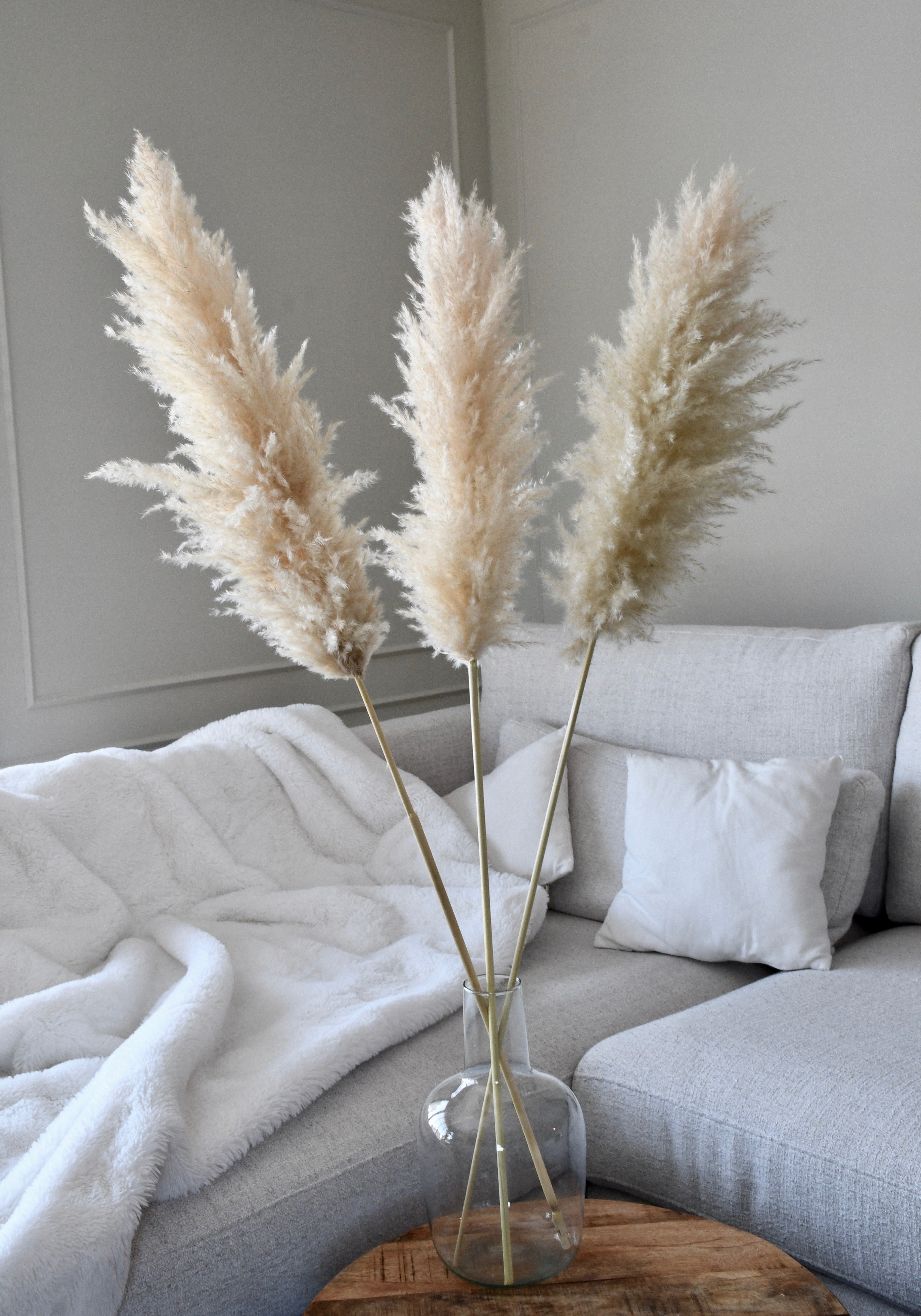 Beige Pampas 3 stems