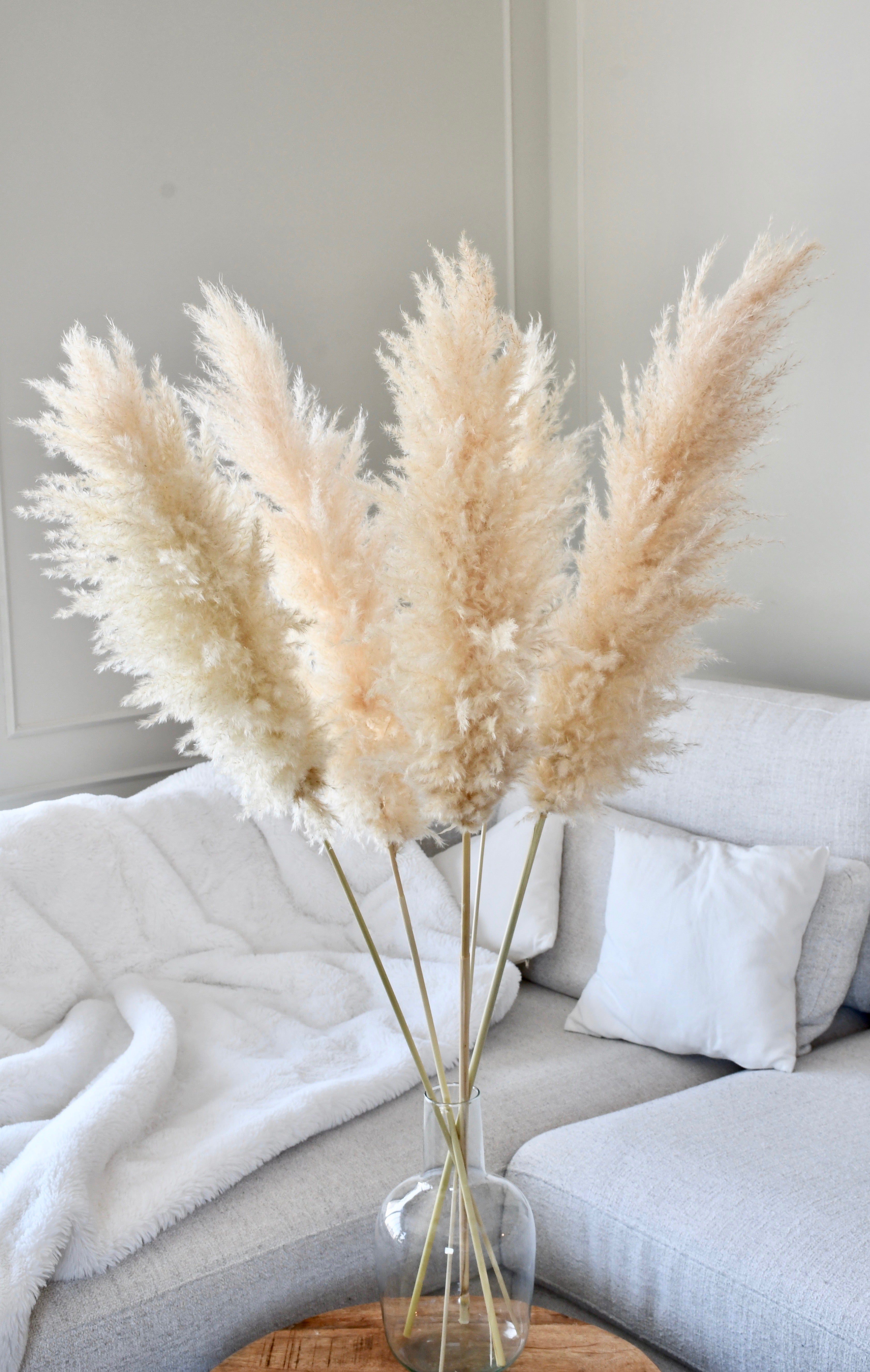 Beige Pampas 5 stems