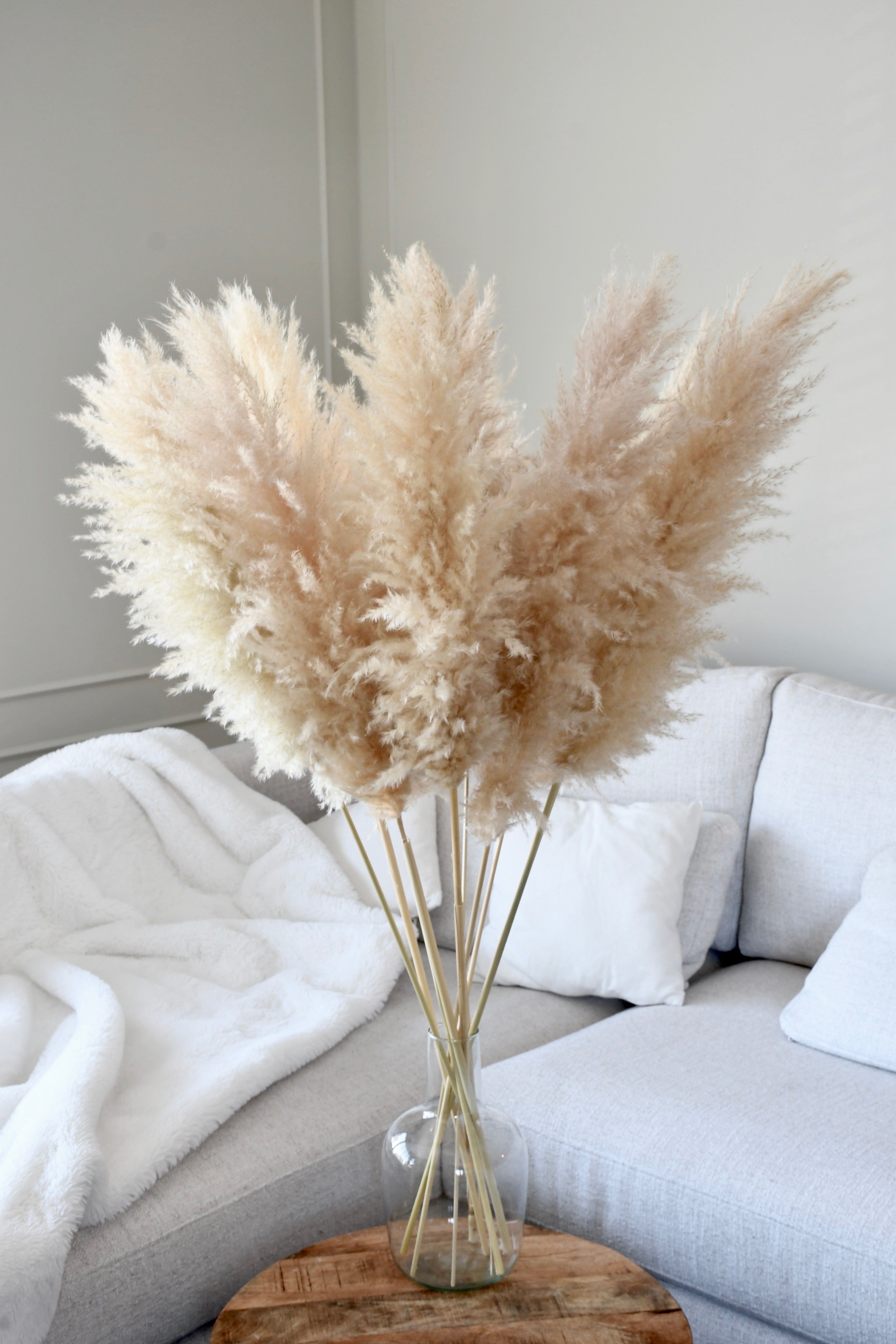 Beige Pampas 10 stems