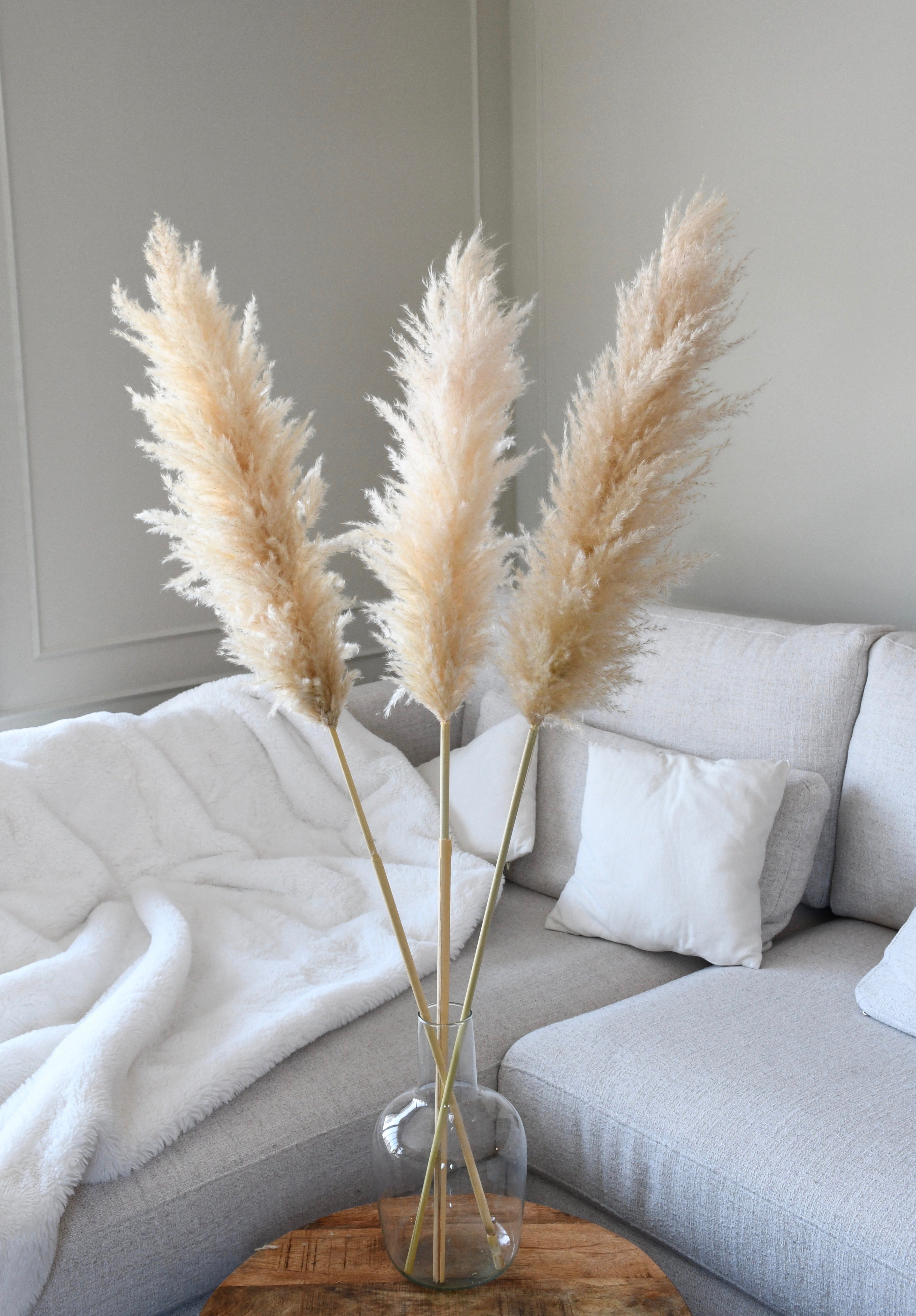 Beige Pampas 3 stems