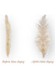 Beige Pampas 10 stems